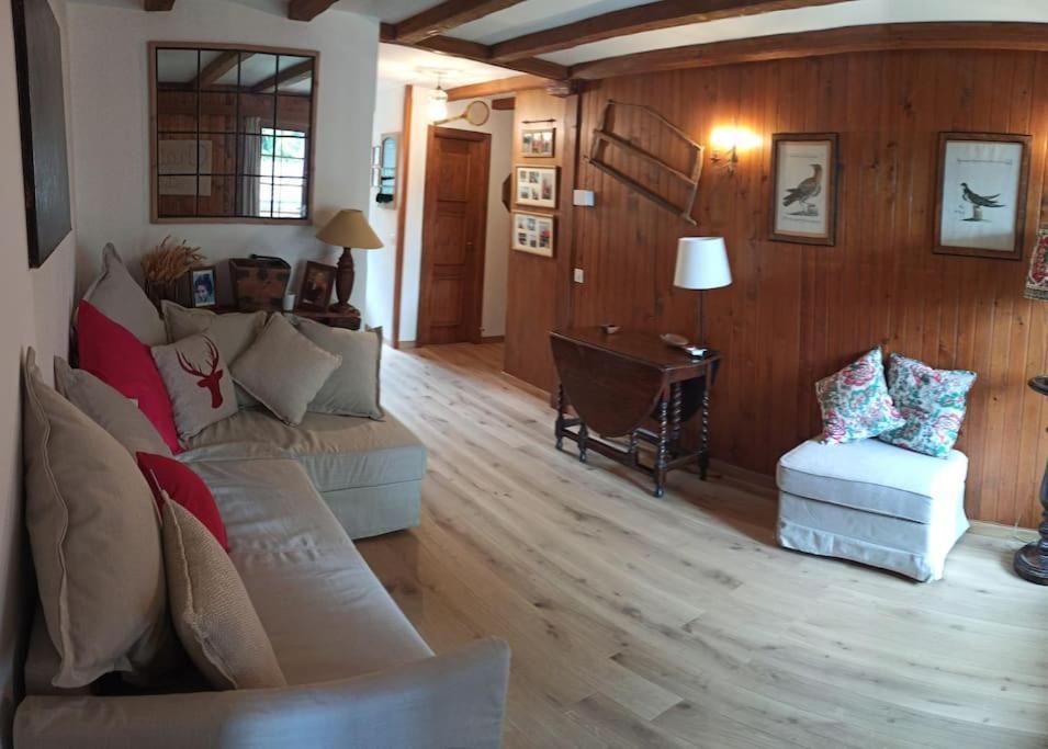 Cozy Apartment In The Heart Of The Alps Château-d'Oex Exterior foto
