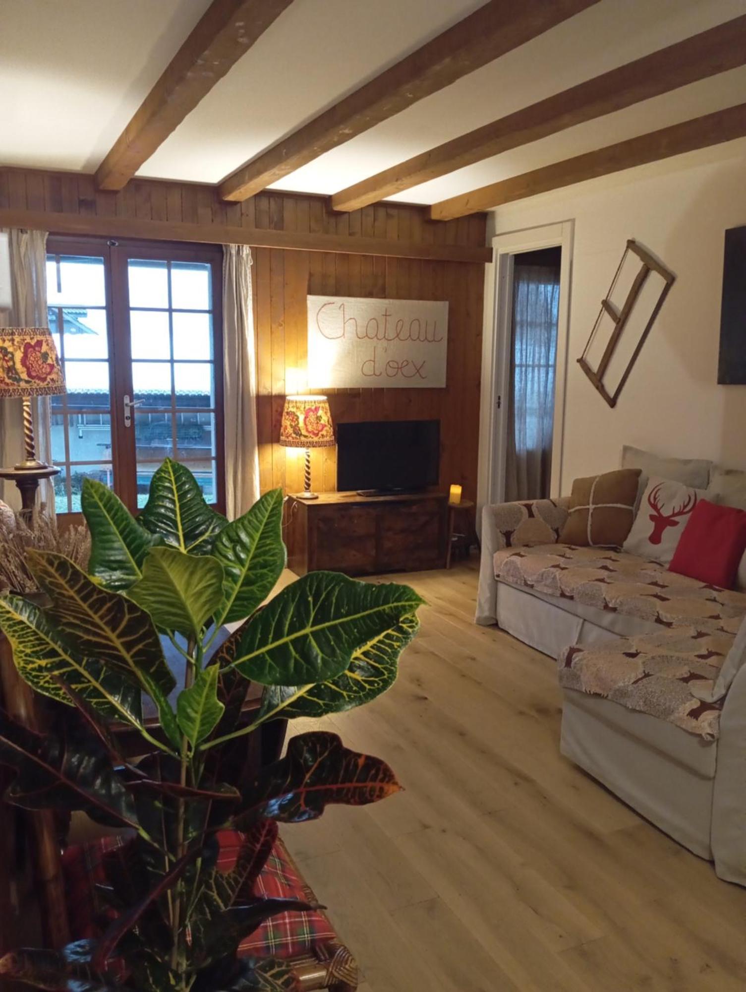 Cozy Apartment In The Heart Of The Alps Château-d'Oex Exterior foto