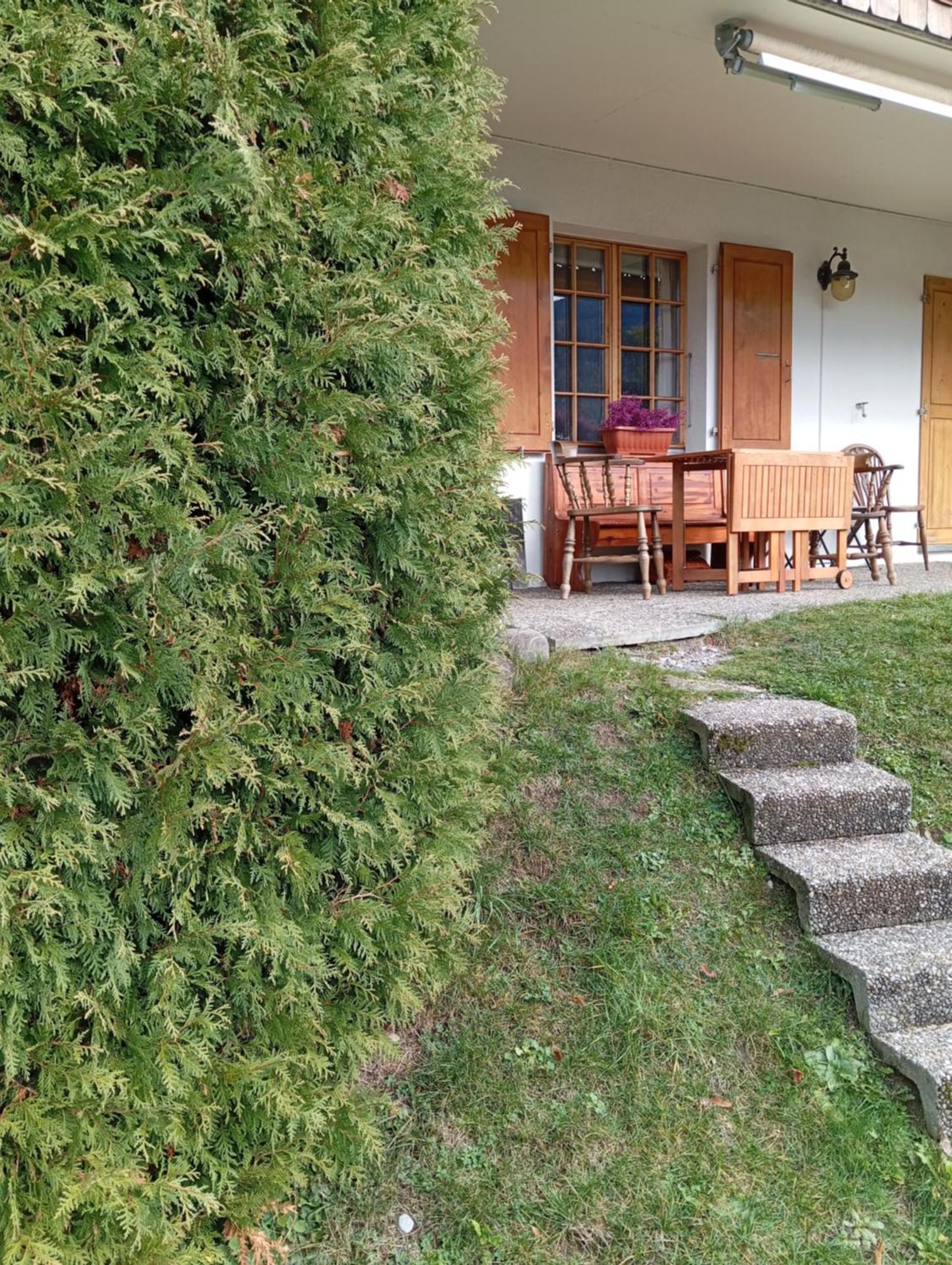 Cozy Apartment In The Heart Of The Alps Château-d'Oex Exterior foto